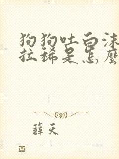 狗狗吐白沫黏液拉稀是怎么回事