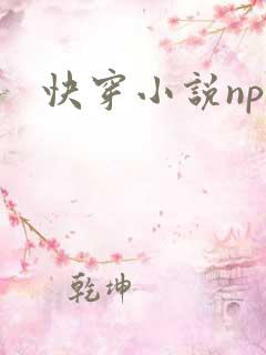 快穿小说np肉