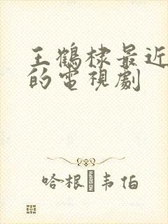 王鹤棣最近演过的电视剧