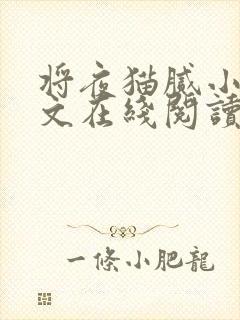 将夜猫腻小说全文在线阅读