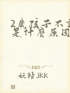 2岁孩子不说话是什么原因引起的