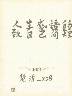 人生感悟的句子致自己简短