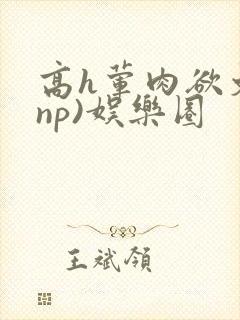 高h荤肉欲文(np)娱乐圈