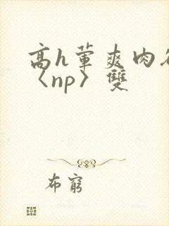 高h荤爽肉欲文〈np〉双