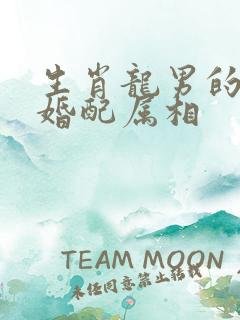 生肖龙男的最佳婚配属相