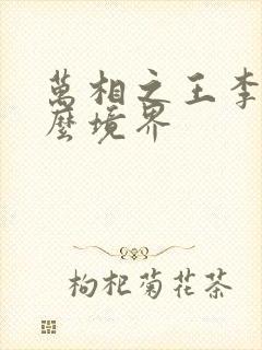 万相之王李洛什么境界