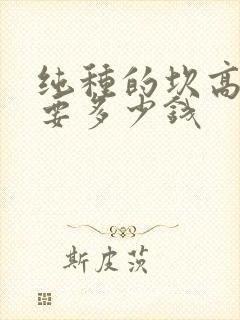 纯种的坎高小狗要多少钱