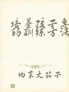 培养孩子专注力的训练方法机构