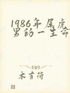 1986年属虎男的一生命运
