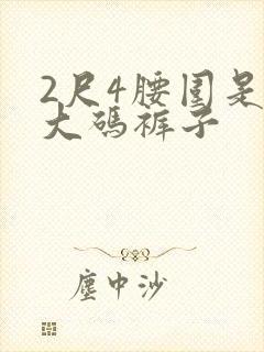 2尺4腰围是多大码裤子