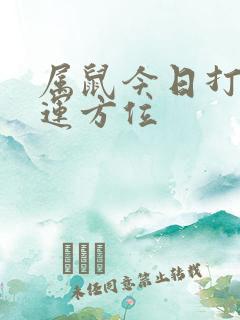 属鼠今日打牌财运方位