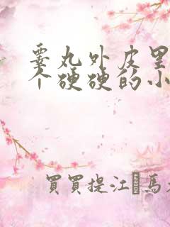 睾丸外皮里面有个硬硬的小疙瘩