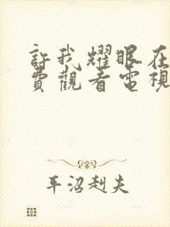 许我耀眼在线免费观看电视剧