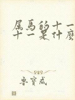 属马的十一月二十一是什么星座