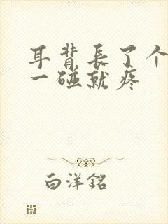 耳背长了个疙瘩一碰就疼