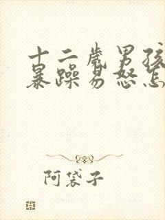 十二岁男孩脾气暴躁易怒怎么办