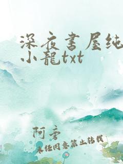 深夜书屋纯洁滴小龙txt