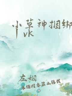 小草神捆绑电击丨vk