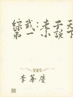 综武:老子天下第一 小说下载txt