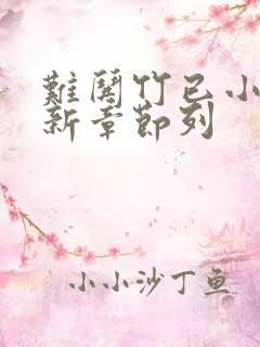 难哄竹已小说最新章节列