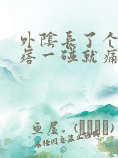 外阴长了个硬疙瘩一碰就痛