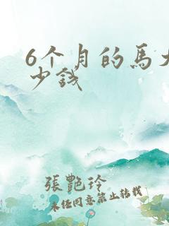 6个月的马犬多少钱