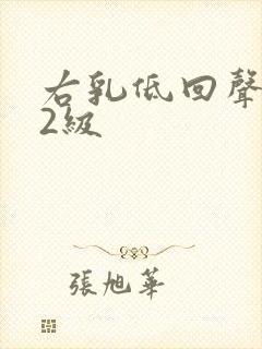 右乳低回声结节2级