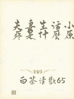 夫妻生活小肚子疼是什么原因女性