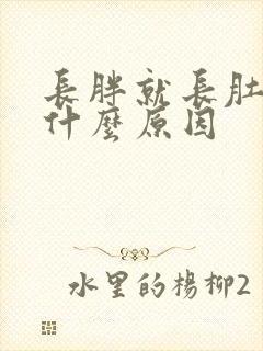 长胖就长肚子是什么原因