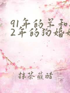 91年的羊和82年的狗婚姻怎么样