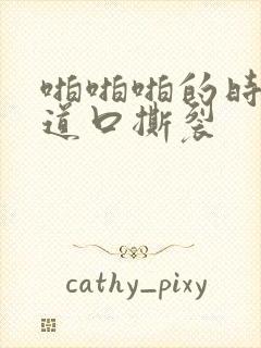 啪啪啪的时候阴道口撕裂