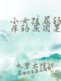 小女孩尿的地方痒的原因是什么情况