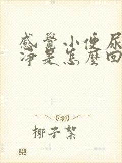 感觉小便尿不干净是怎么回事