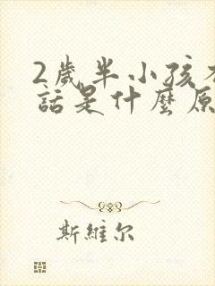 2岁半小孩不说话是什么原因