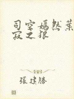 司空嫣然叶凡孤寂之狼