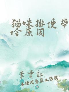 猫咪排便带血是啥原因