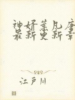 神婿叶凡唐若雪最新更新章节