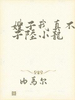 嫂子我真不是傻子陆小龙