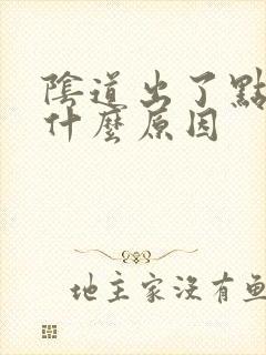 阴道出了点血是什么原因