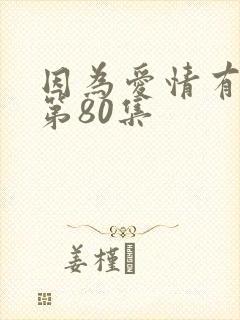 因为爱情有多美第80集