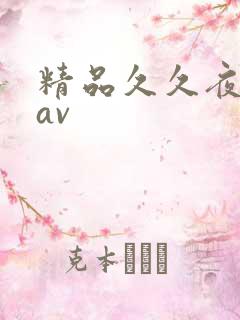 精品久久夜夜骚av