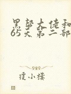 黑帮大佬和我365天第二部