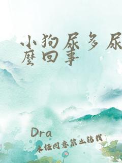 小狗尿多尿频怎么回事