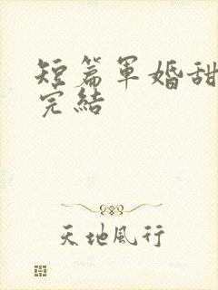 短篇军婚甜宠文完结