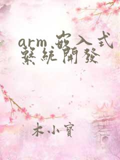 arm 嵌入式系统开发