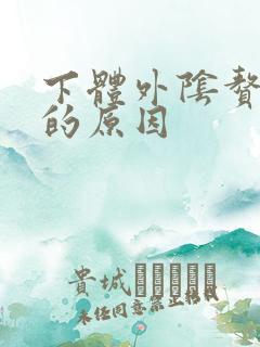 下体外阴赘生物的原因