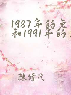 1987年的兔和1991年的羊婚姻怎么样
