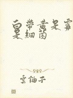 白带黄是霉菌还是细菌