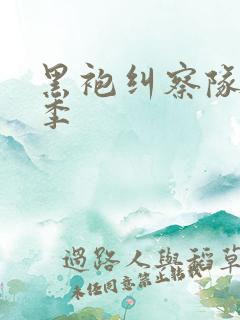 黑袍纠察队多少季