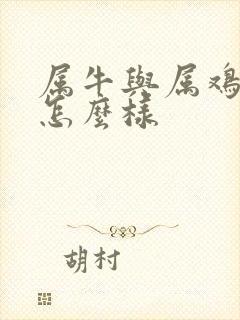 属牛与属鸡姻缘怎么样